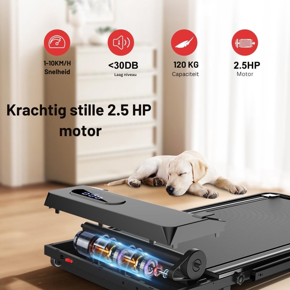 Truskore Fit Plus Loopband - 1-10km/u - Inklapbaar - Wandelband - Led Display en Afstandsbediening - Walking Pad - Treadmill