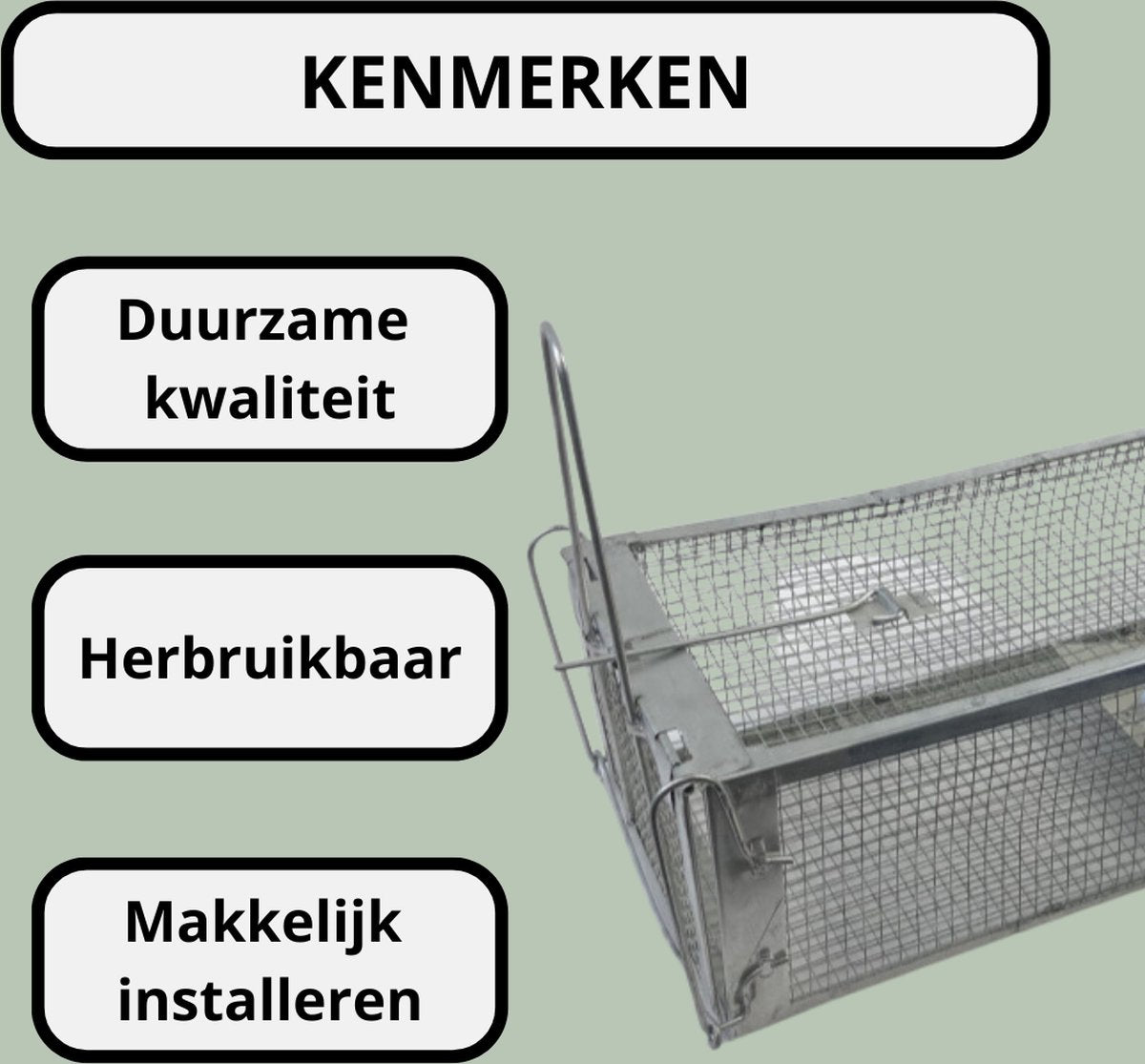 Livista Rattenval - Voor Rattenvergif - Rattenkooi - Rattenvangkooi - Voor buiten - Vangkooi - Kist - Ongedierte bestrijding - Muizenval - Voor Muizengif - Diervriendelijk - 42x14x11cm
