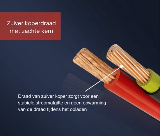 Truskore® Industriële Acculader - 12/24V 5/10/25A - Geschikt voor Diverse Voertuigen - Volautomatische Bediening - Dikke Koperen Kern Ontwerp - Repareer modus - Oplaad Puls Technologie
