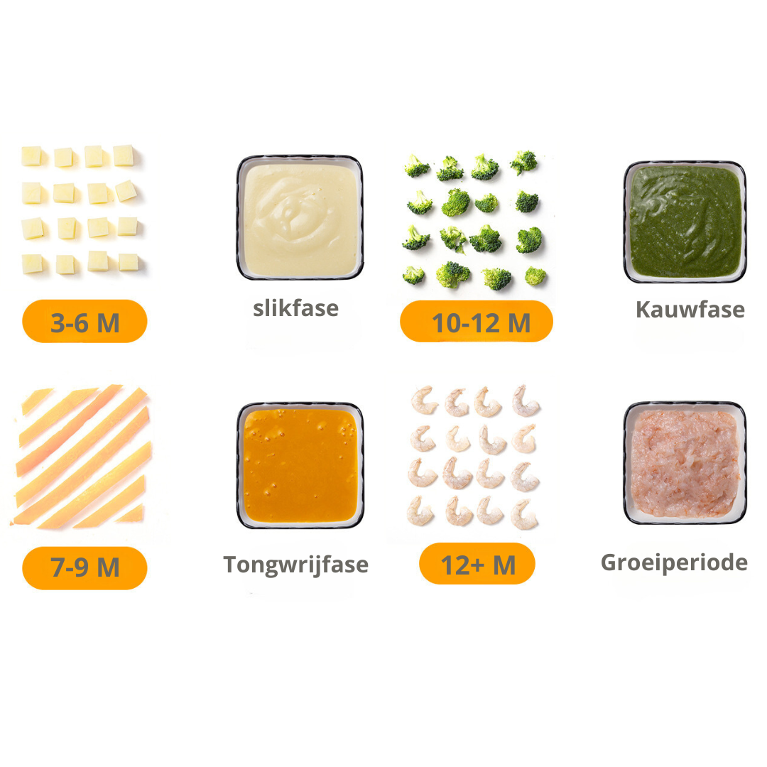 Livista® - Baby Blender en Stoomkoker – Grote Capaciteit – Babyvoeding Verwerkingsmachine – Stomen, Mixen en Verwarmen – Voor Gezonde Babyvoeding