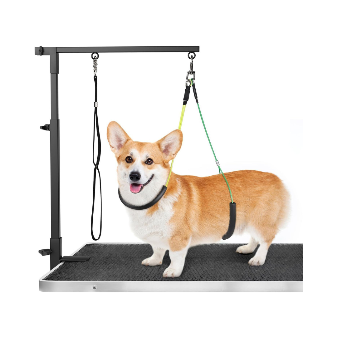 Livista Trimtafel Beugel (voor katten & honden) – Geschikt voor hondentrimtafels – Hoogte verstelbaar – Inclusief verstelbare lussen – Makkelijk te monteren en op te bergen