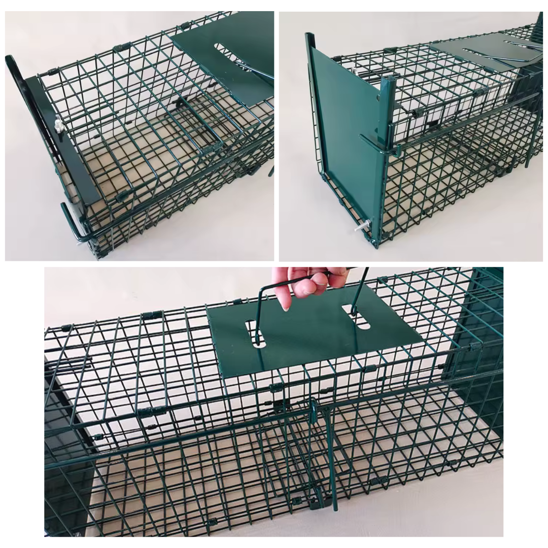 Livista Dierenvalkooi - Voor ratten, muizen en kleine dieren - Eenvoudig te installeren en te gebruiken - 62x24x21cm - Groen