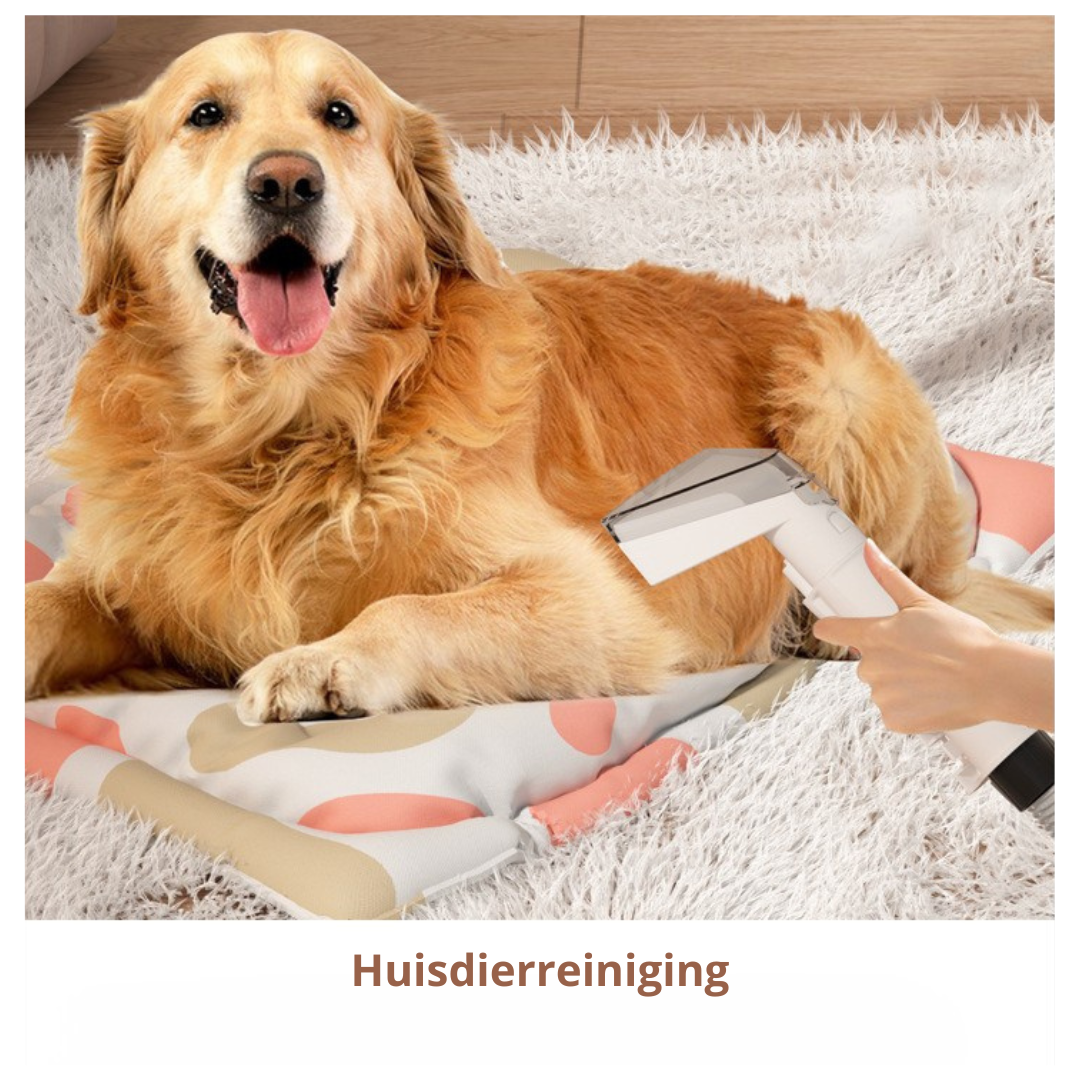 Livista® Vlekkenreiniger - 4-in-1 Tapijtreiniger - 3 Opzetstukken - Grote Watertanks - IPX4