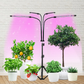 Livista® - LED Planten Groeilamp – Vouwbaar Standaard – Volledig Spectrum – Instelbare Timer – Voor Planten, Aquariums en Zaadkieming
