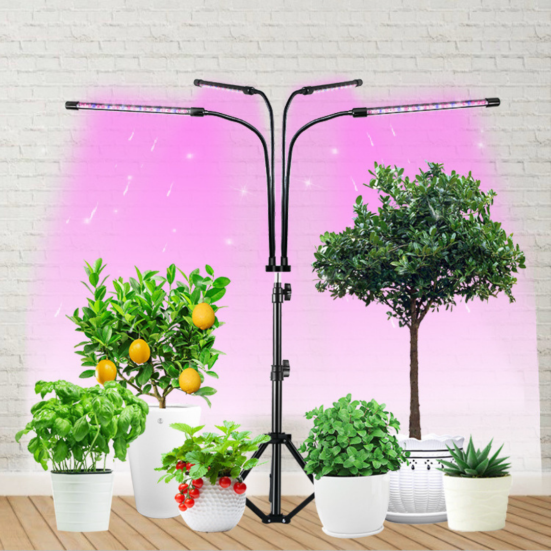 Livista® - LED Planten Groeilamp – Vouwbaar Standaard – Volledig Spectrum – Instelbare Timer – Voor Planten, Aquariums en Zaadkieming